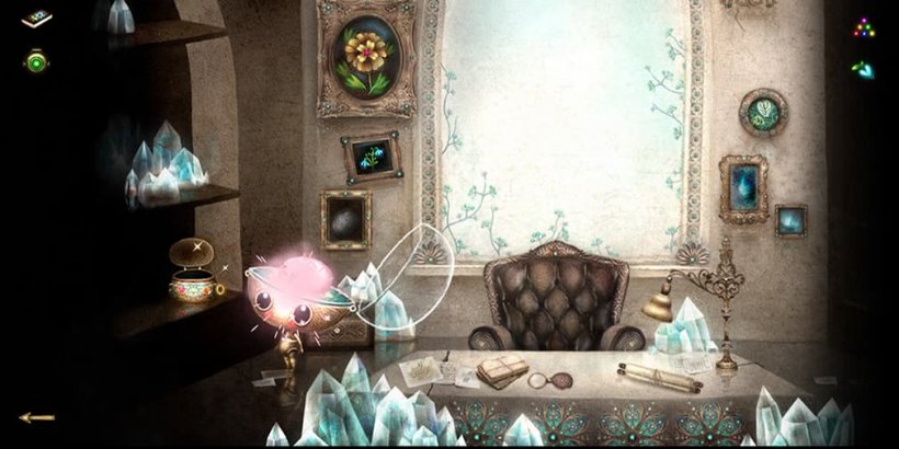 Nara colecting Brainapilla