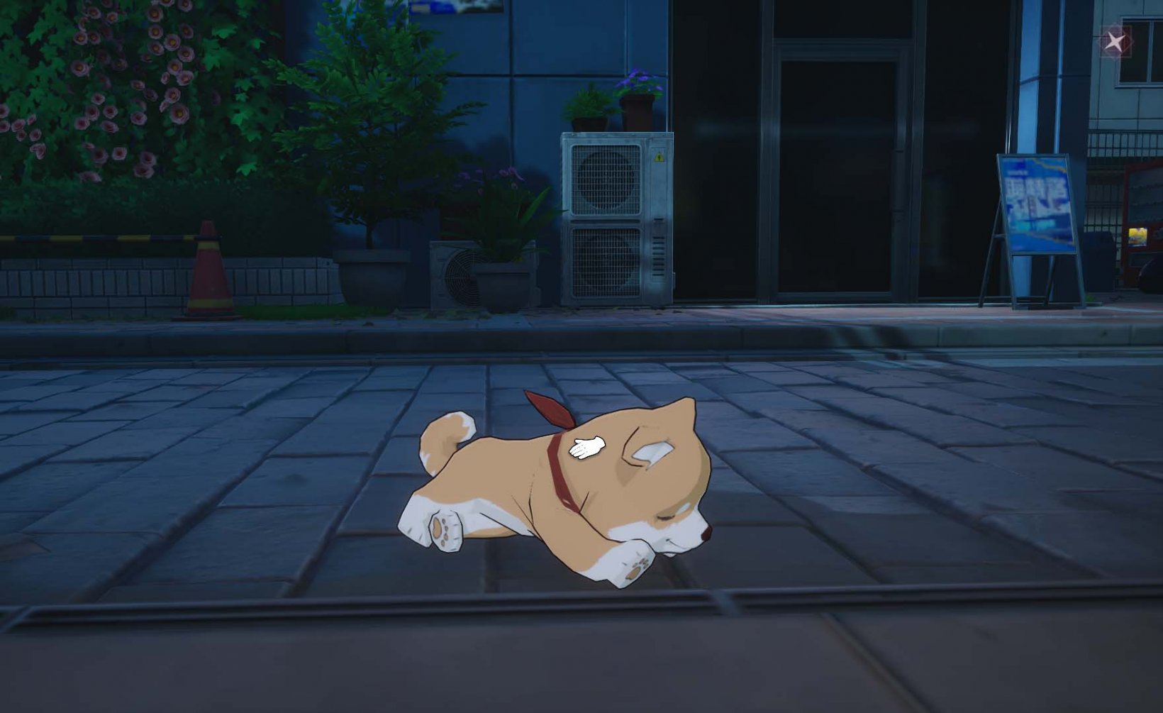 an adorable shiba inu you can pet on the street