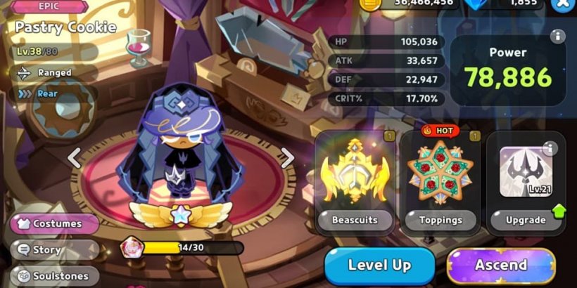 CRK: Pastry Cookie Toppings and Beascuits guide