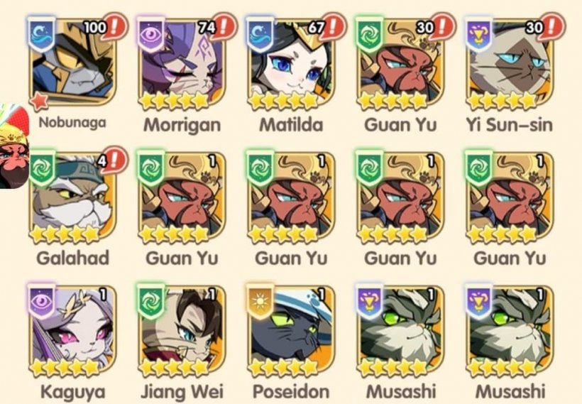 list of heroes in rise of kittens