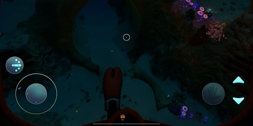 View of ocean floor with avatar's flipper showing
